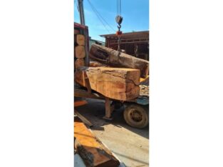 Raw wood supply in large amounts