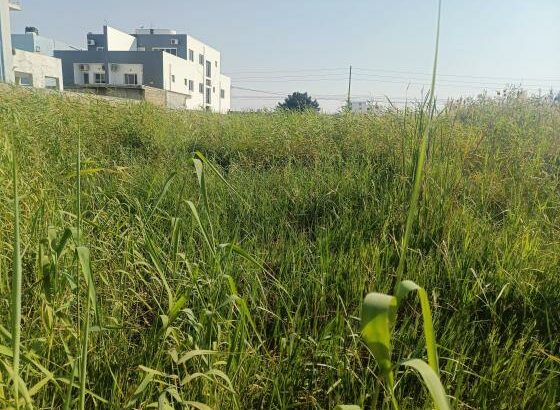 Trespasse dessa bela propriedade, com uma área de 20/30m no bairro da costa do sol continuidade do triunfo 2