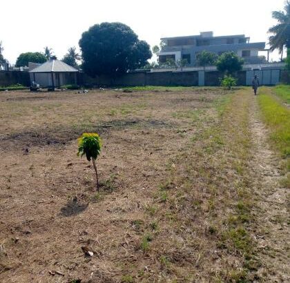 Trespasse de Propriedades ligadas, cada propriedade com 17/30m no bairro de laulane muito próximo a Zona da Dona Alice