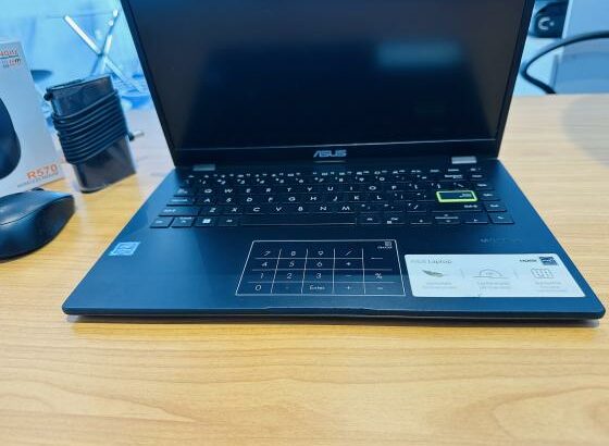 Asus VivoBook E410M Notebook PC Intel Celeron N4020 1.20 GHZ 4 GB DDR4 SDRAM, 256 GB SSD  Intel UHD Graphics 14 polegadas,Calculadora no mouse Bateria