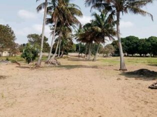 trespasse desta bela propriedade, de 100/100m no bairro do Albasine Rua da igreja