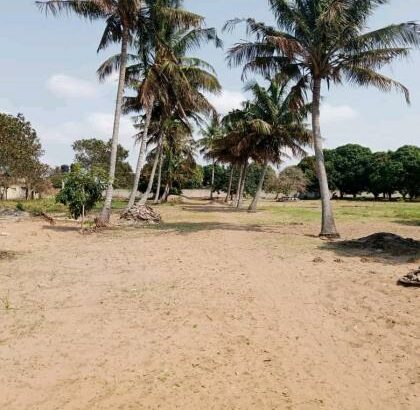 trespasse desta bela propriedade, de 100/100m no bairro do Albasine Rua da igreja