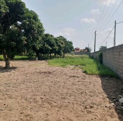 trespasse desta bela propriedade, de 100/100m no bairro do Albasine Rua da igreja