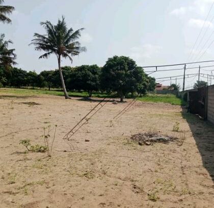 trespasse desta bela propriedade, de 100/100m no bairro do Albasine Rua da igreja