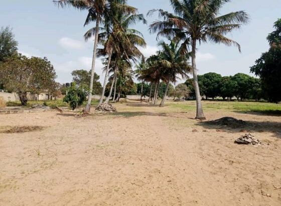 trespasse desta bela propriedade, de 100/100m no bairro do Albasine Rua da igreja