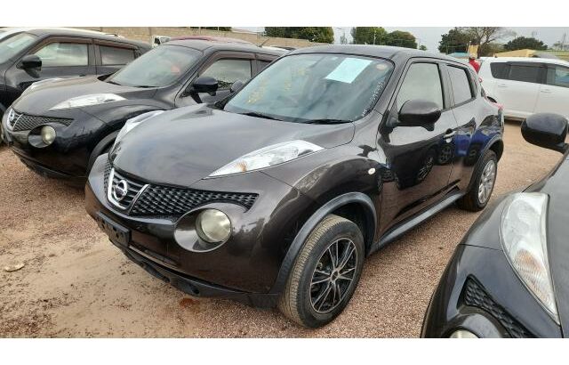 Nissan Juke – No Parque