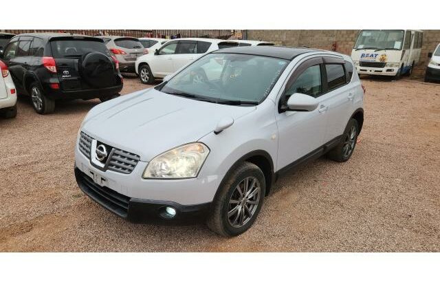 NISSAN DUALIS PANORAMICO – NO PARQUE