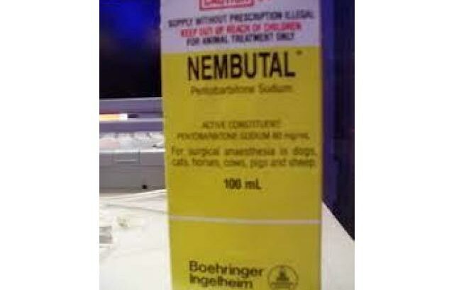 Nembutal Sodium para venda