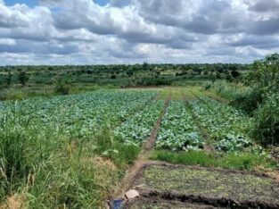 Traspasse se  terreno no zimpeto perto da cruzamento de matendene