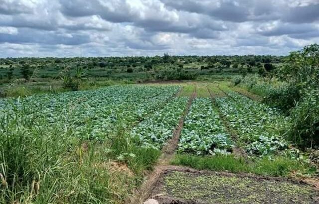 Traspasse se  terreno no zimpeto perto da cruzamento de matendene