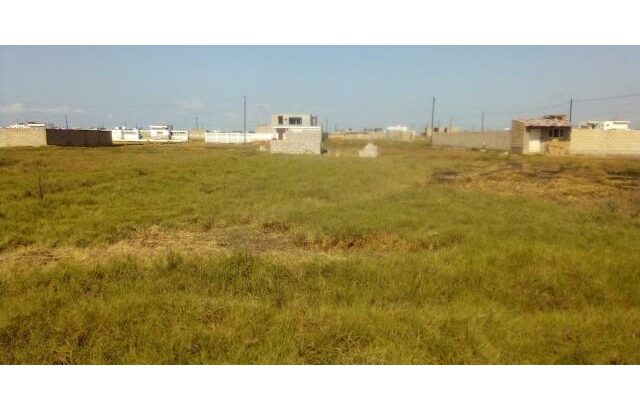 Baixou – Costa do Sol: Terreno 20/40 Zona Privilegiada