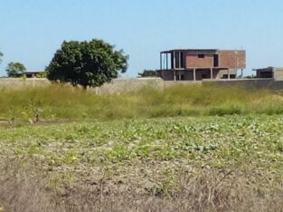 Costa do Sol Zona de Expansão: Terreno 15/30 Trespasse