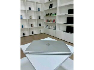 Hp Probook 450 G10