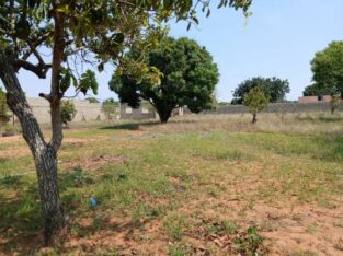 trespassace propriedades em albasine paragem escola técnica