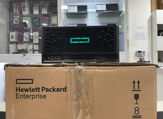 HPE ProLiant MicroServer Gen10 Plus v2  Pentium Gold G6405 32GB 2x256SSD UHD610 Server2016 Novo