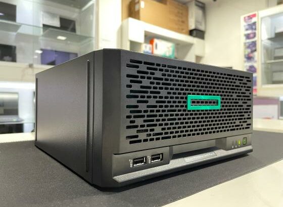 HPE ProLiant MicroServer Gen10 Plus v2  Pentium Gold G6405 32GB 2x256SSD UHD610 Server2016 Novo