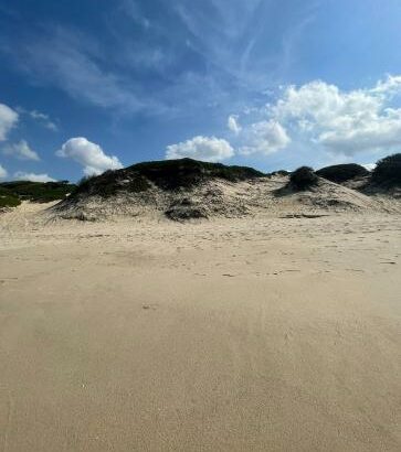 Trespasse de Tereno na Macaneta 4 Hectares na linha de frente com vista para o mar numa zona de elite