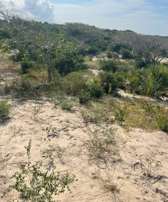 Trespasse de Tereno na Macaneta 4 Hectares na linha de frente com vista para o mar numa zona de elite