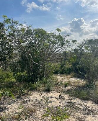 Trespasse de Tereno na Macaneta 4 Hectares na linha de frente com vista para o mar numa zona de elite