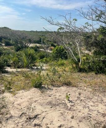 Trespasse de Tereno na Macaneta 4 Hectares na linha de frente com vista para o mar numa zona de elite