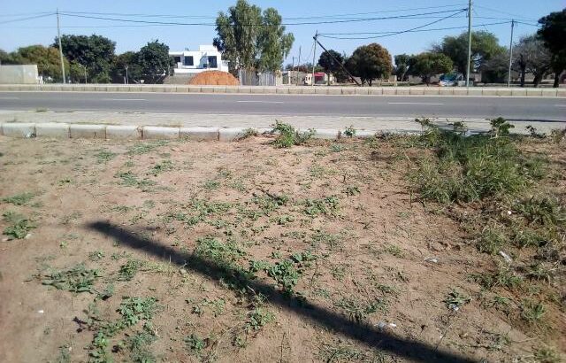 Chiango: Terreno 20/20 Ha 250 Metros da Eatrada