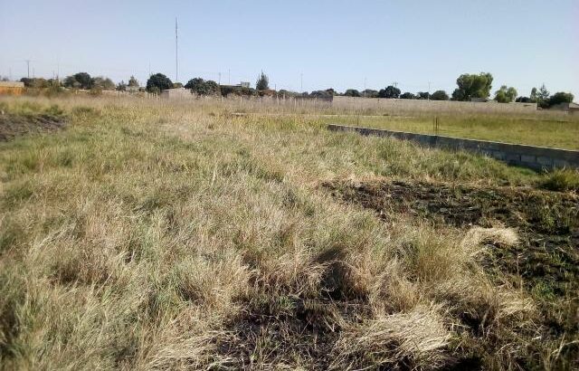 Chiango: Terreno 20/20 Ha 220 Metros da Estrada Circular