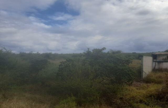 Vende-se uma pedreira de 34 hectares em Boane