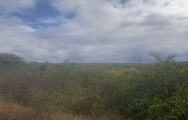 Vende-se uma pedreira de 34 hectares em Boane