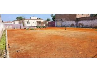 VENDO CASA T4 NO CHOUPAL B COM TUDO DENTRO E QUINTAL ENORME | MAPUTO