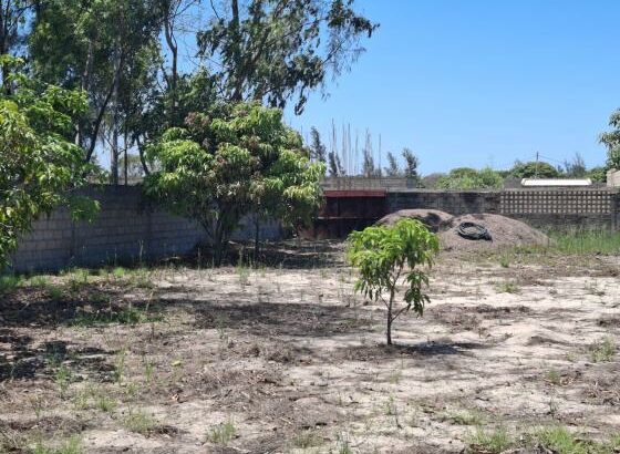 Trespasse de Terreno 30×20 no Chiango a 300m da estrada