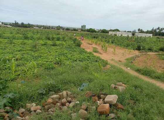 transpasse destas parcelas, de 15/30m no bairro de laulane zona da Dona Alice