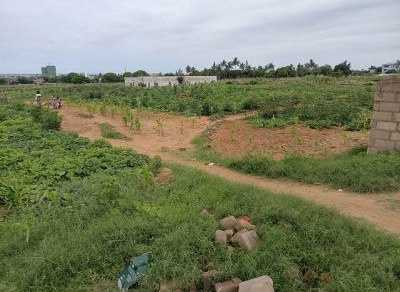 transpasse destas parcelas, de 15/30m no bairro de laulane zona da Dona Alice