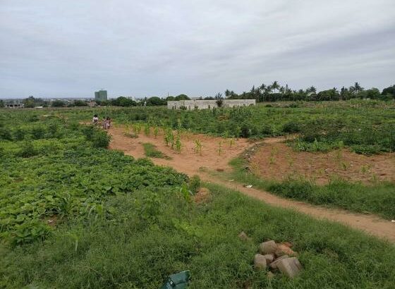 transpasse destas parcelas, de 15/30m no bairro de laulane zona da Dona Alice