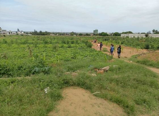 transpasse destas parcelas, de 15/30m no bairro de laulane zona da Dona Alice