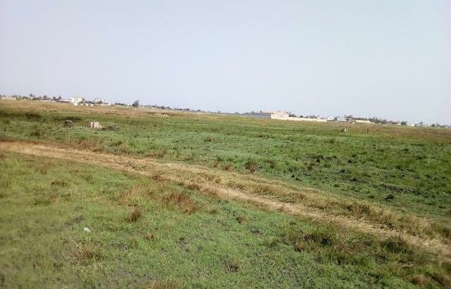 Trespasao Terreno 15/30 Costa do Sol Zona de Expansao