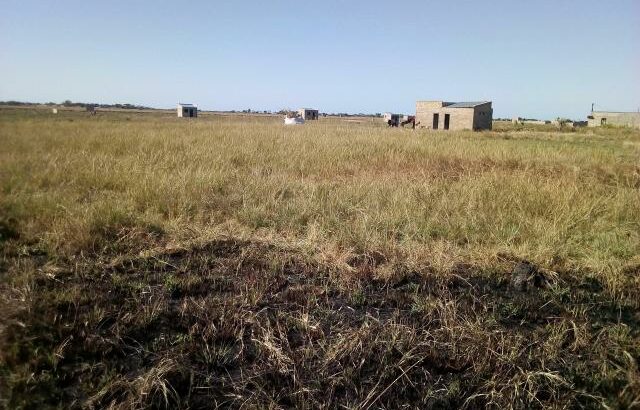 Chiango: Terreno 20/20 Ha 220 Metros da Estrada