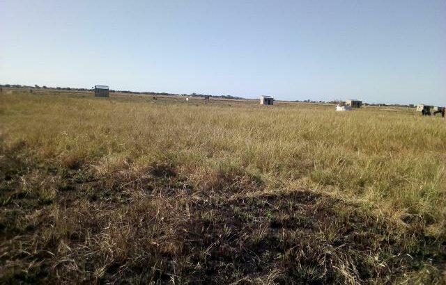 Chiango: Terreno 20/20 Ha 220 Metros da Estrada