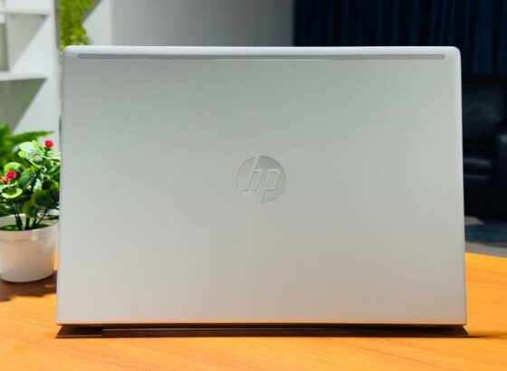 Hp Probook 450 G7 i7 10th 12GB RAM 256GB SSD