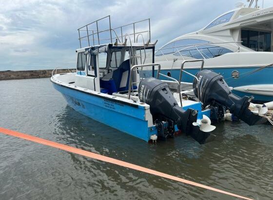 barco de recreio 8 metros