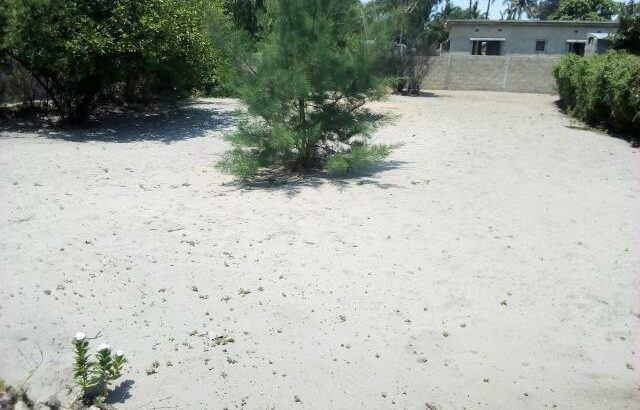 Terreno Super Arenoso & Seco: Costa do Sol (17/33)