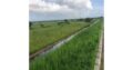 Terreno 15 Hectares na Circular Muntanhana
