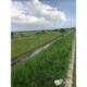 Terreno 15 Hectares na Circular Muntanhana