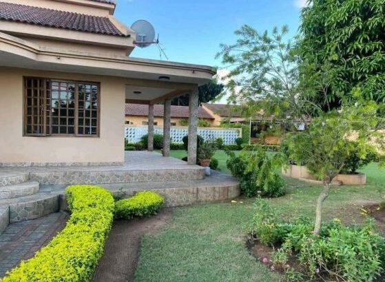 Arrenda-se Casa Tipo 3 no NOVARE MALL