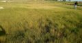 Terreno 15 Hectares na Circular Muntanhana Marracuene