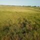 Terreno 15 Hectares na Circular Muntanhana Marracuene