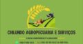 Serviços de incubação de pintos