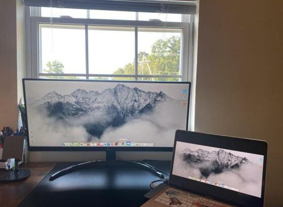 Monitor LG 29WQ550 29” ULTRA WIDE FHD 100Hz Selados Entregas e Garantia