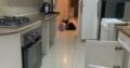 T3 COOP FOR RENT / ALUGA-SE
