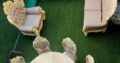 Vende-se Jogo de sofas e mesa de marmo