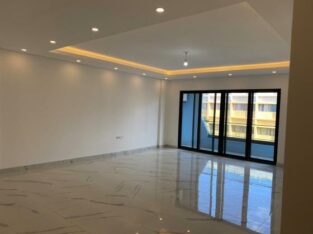 Apartamento T3 novo na Sommershiel